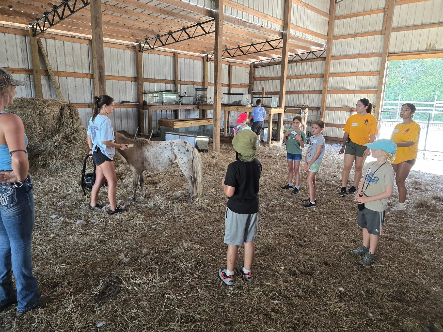 Field Trips and Camps at Raprager Farms